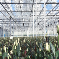 东集AUTOID 9助力鲜花的供应链高速运转